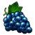 Shining Crown blauwe druiven